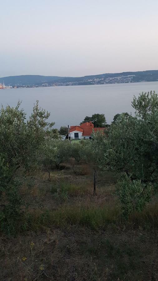 Sea View Apartments Debeli Rtic Ankaran Exteriör bild